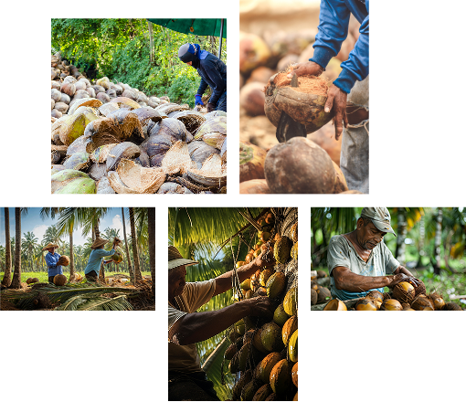 Why our buyers choose us image